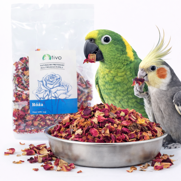 Okvětní lístky růže – růže pro všechny papoušky 35 g od ParrotPlanet.cz