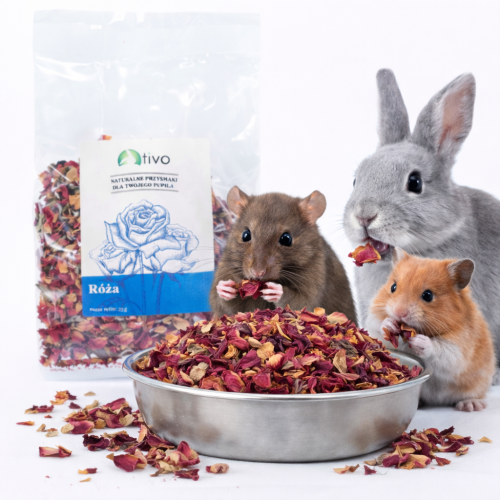 Okvětní lístky růže pro hlodavce – přírodní květinový doplněk | 35 g  od ParrotPlanet.cz