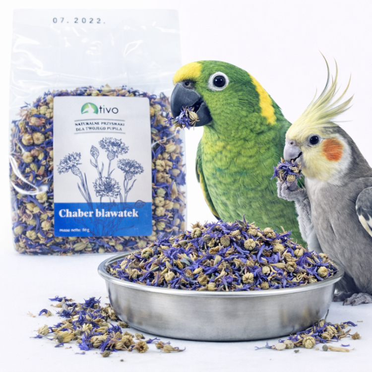 Okvětní lístky chrpy – chrpa pro všechny papoušky 60 g od ParrotPlanet.cz