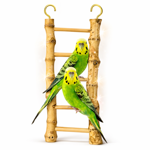 Bambusová žebřík - pro malé a střední papoušky od ParrotPlanet.cz