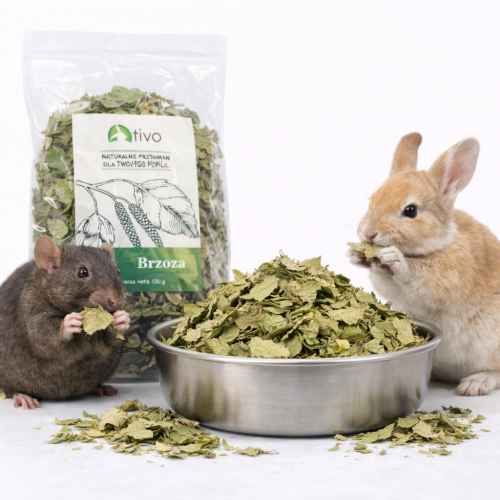 Okvětní lístky černé slézové růže pro hlodavce – přírodní květinový doplněk | 45 g od ParrotPlanet.cz