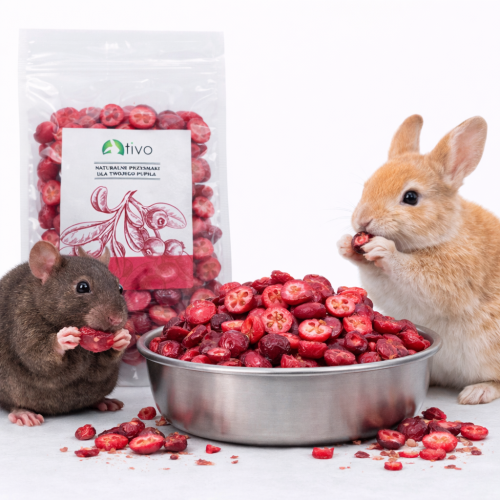 Křupavá lyofilizovaná brusinka pro hlodavce – přírodní ovocný pamlsek | 20 g od ParrotPlanet.cz