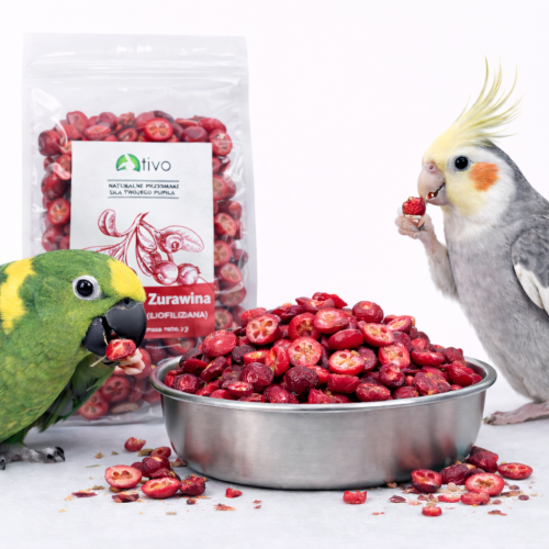 Křupavá brusinka – celá lyofilizovaná bobule 20 god ParrotPlanet.cz