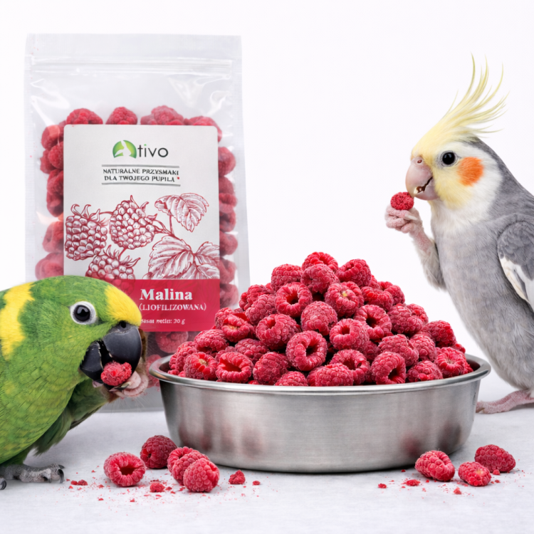 Křupavá malina – celé lyofilizované ovoce 20 g ParrotPlanet.cz