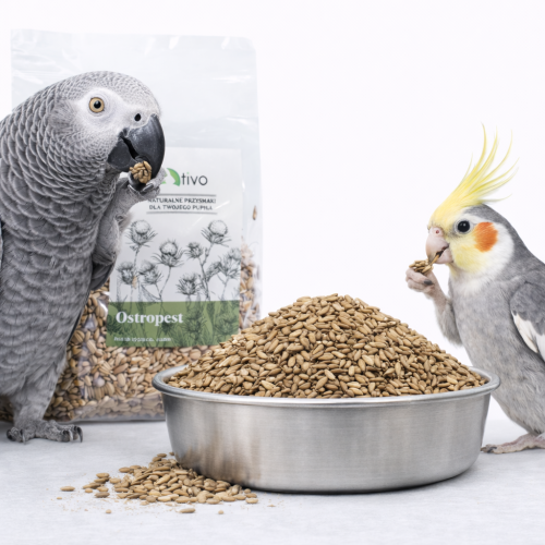 TIVO - Ostropest pro všechny papoušky 100 g od ParrotPlanet.cz