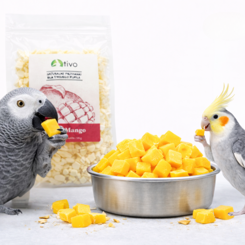 Křupavé Mango – celé lyofilizované ovoce 20 g od ParrotPlanet.cz