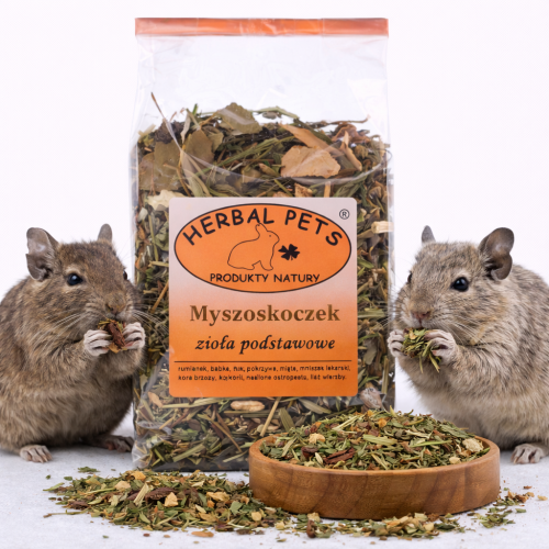 Základní bylinky pro pískomily – přírodní podpora zdraví a imunity 100 g od parrotPlanet.cz