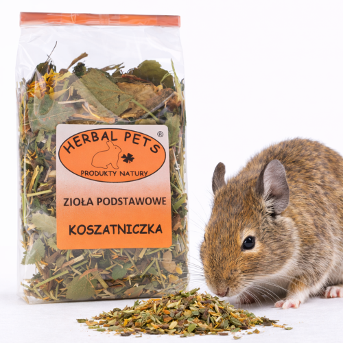 Základní bylinky pro králíky – zdraví a chuť v jednom 100 g od ParrotPlanet.cz