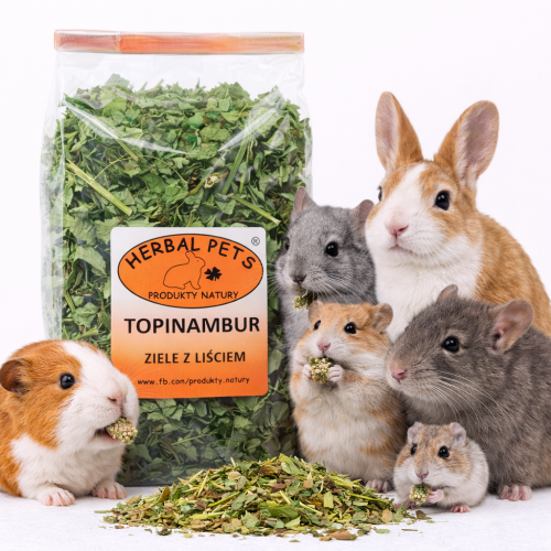 Topinambur byliny s listy – přírodní podpora trávicího systému králíků a hlodavců 70 g  od ParrotPlanet.cz