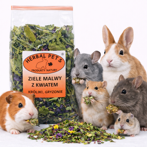 Bylina a květ divoké slézu – přírodní pomoc pro trávicí a dýchací systém králíků a hlodavců 70 g od ParrotPlanet.cz