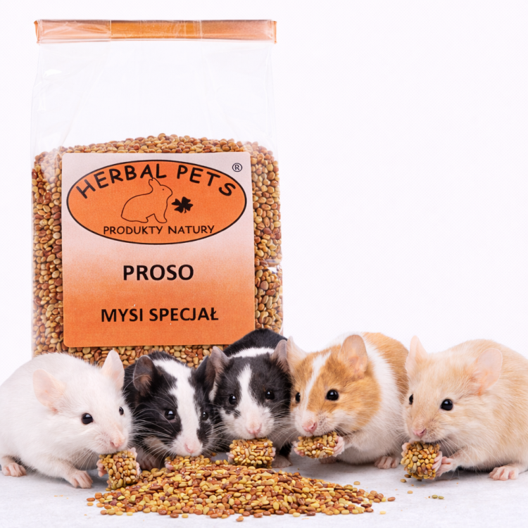 Myší specialita Proso pro myši – přírodní pochoutka plná cenných složek 150 g od ParrotPlanet.cz