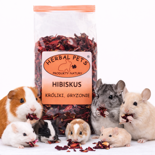 Ibišek pro králíky a hlodavce – přírodní podpora zdraví a imunity 60 g  od ParrotPlanet.cz