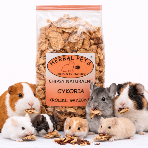 Přírodní chipsy s čekankou – podpora trávení a zdraví zubů pro králíky a hlodavce 125 g od ParrotPlanet.cz