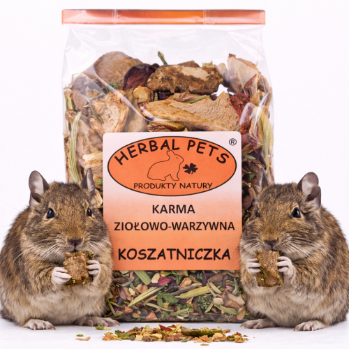 Karma Ziołowo-Warzywna dla Koszatniczki – Naturalna Mieszanka Wspierająca Zdrowie Twojego Pupila od ParrotPlanet.pl