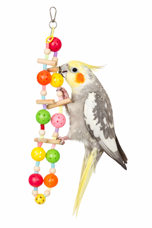 Barevná řetězová hračka se zvonečky pro papoušky – aktivizační hračka do klece od ParrotPlanet.cz