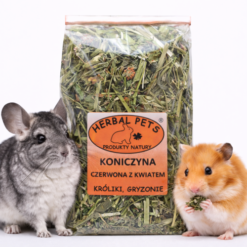 Červený jetel s květem – přírodní podpora trávení pro králíky a hlodavce 80 g od ParrotPlanet.cz