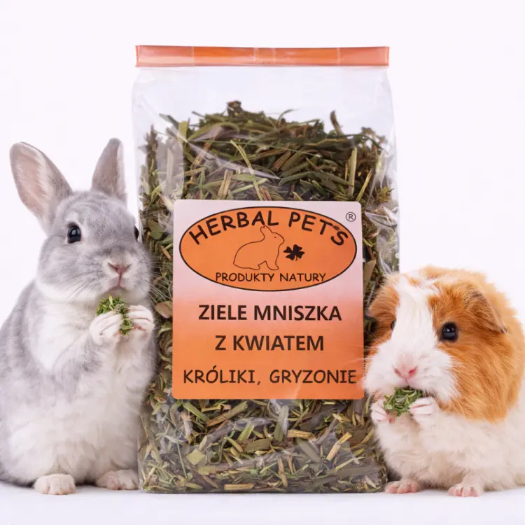 Bylina pampeliška s květem pro králíky a hlodavce – přírodní podpora zdraví 80 g od ParrotPlanet.cz
