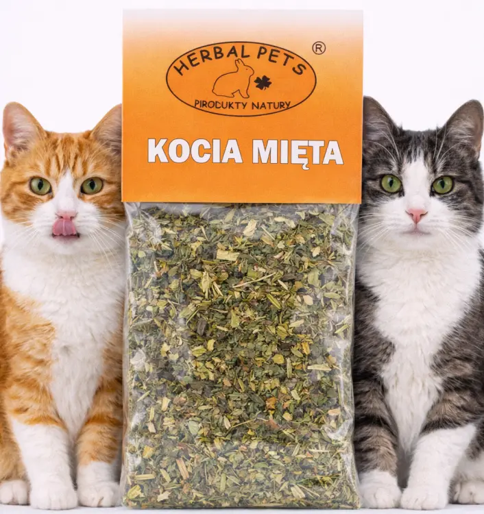 Kočičí máta pro kočky – Kocimiętka – podporuje aktivitu a hru 5 g od ParrotPlanet.cz