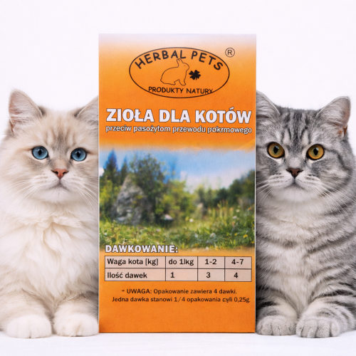 Byliny proti parazitům pro kočky – přírodní ochrana od ParrotPlanet.cz