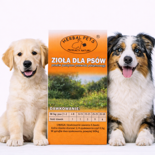 Byliny proti parazitům pro psy – přírodní ochrana od Parrotplanet.cz