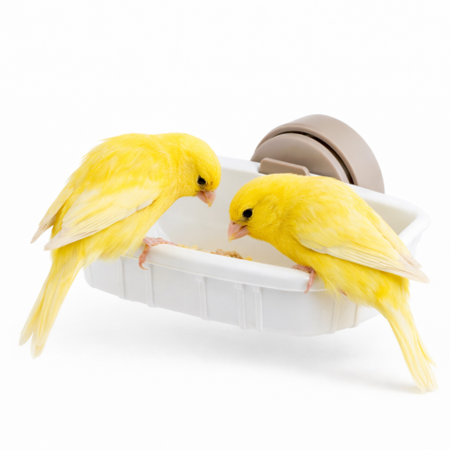 Portabiscotto – Krmítko pro papoušky od ParrotPlanet.cz