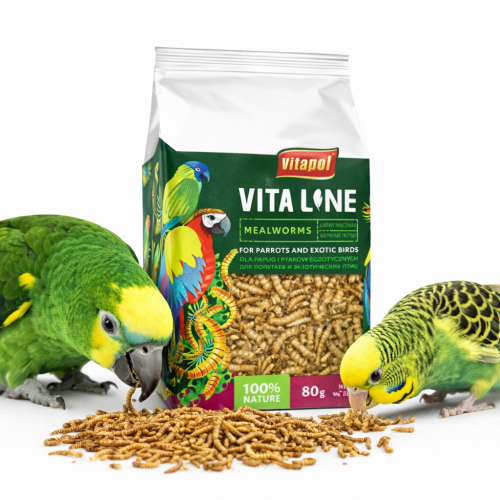 Vitapol VITALINE - Larvy moučky pro všechny papoušky 80 g od ParrotPlanet.cz