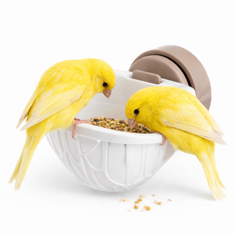 Portapastoncino – Krmítko pro papoušky od ParrotPlanet.cz