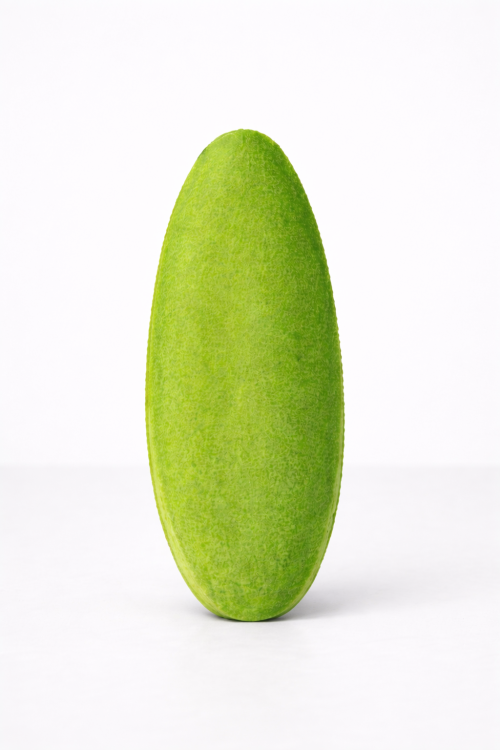 Citronová sépie pro papoušky a exotické ptáky od ParrotPlanet.cz