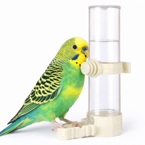 Napáječka, napáječka na vodu pro papoušky a jiné ptáky 50 ml od ParrotPlanet.cz