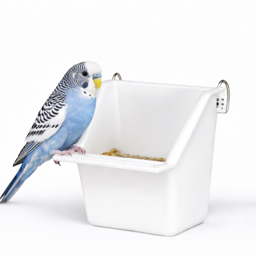 Plastová miska pro papoušky | Krmítko Napáječka pro ptáky | 65 ml od ParrotPlanet.cz