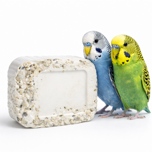 Vápenný prášek s mušlemi – pro všechny papoušky 200 g od ParrotPlanet.cz