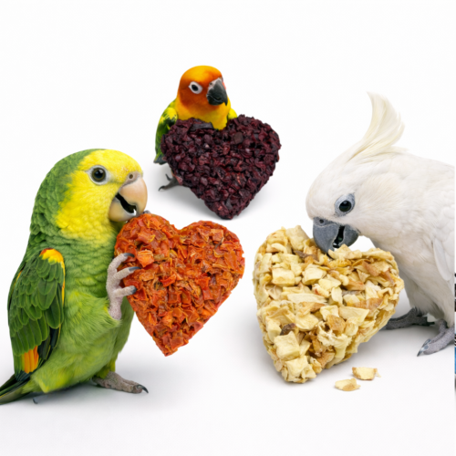 Zeleninová srdíčka – pamlsek pro všechny papoušky od ParrotPlanet.cz
