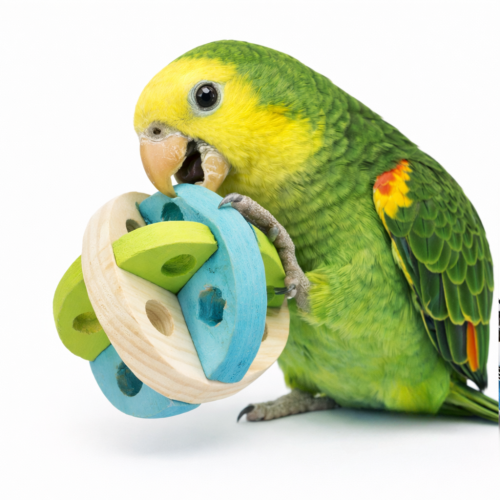 Barevný míček na krmení – pro všechny papoušky od ParrotPlanet.cz