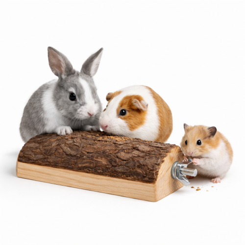 Přírodní plochá dřevěná platforma pro hlodavce 10–12 cm – police k odpočinku a okusování od ParrotPlanet.cz