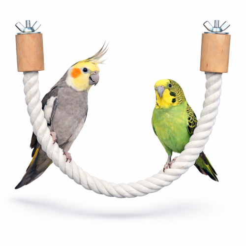 Bawełniana Żerdka S/M - Wielofunkcyjna Zabawka dla Małych i Średnich Papug  od ParrotPlanet.pl