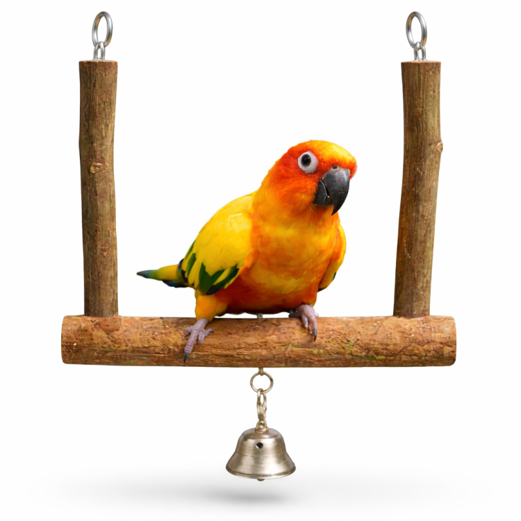 Naturalna Huśtawka z dzwonkiem dla nimf i innych mniejszych papug od ParrotPlanet.pl