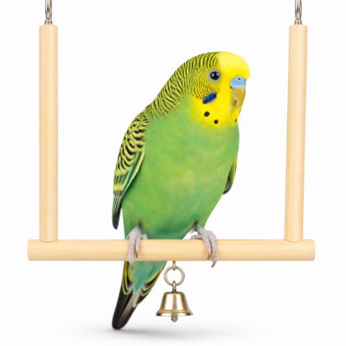 Dřevěná houpačka - pro malé papoušky od ParrotPlanet.cz