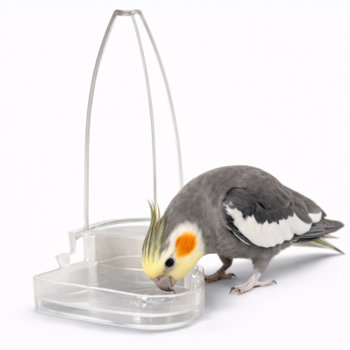 Banán - Krmítko Napáječka - Krmítko nebo napáječka - miska pro papoušky a jiné exotické ptáky 90 ml od ParrotPlanet.cz