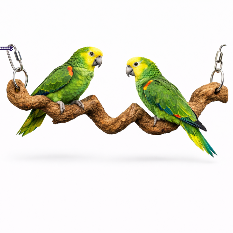 Tyč ze dračího dřeva – pro střední a velké papoušky od ParrotPlanet.cz