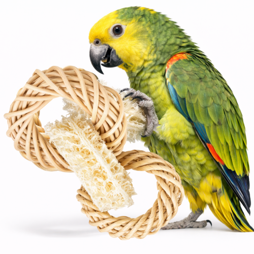 Naturalne krążki - zabawka dla wszystkich papug od ParrotPlanet.pl