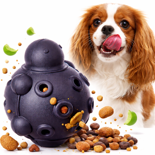 Želva na pamlsky – černá zábava pro vašeho mazlíčka (S, 7,5 cm) od ParrotPlanet.cz