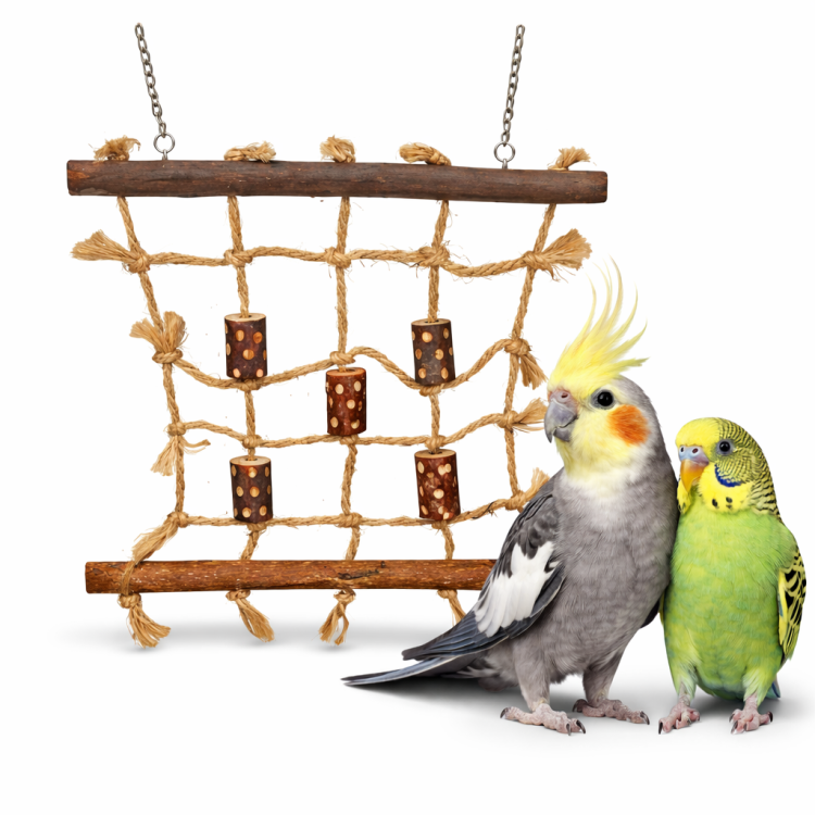 Siatka do Wspinaczki Mała 30 x 24 cm – Naturalny Plac Zabaw dla Papug od ParrotPlanet.pl