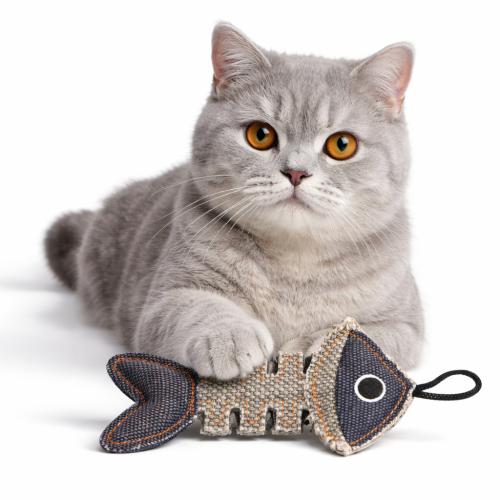 Barry King kostra ryby z pevného materiálu | hračka pro kočky | šedá/tmavě modrá  14 x 7,5 cm od ParrotPlanet.cz