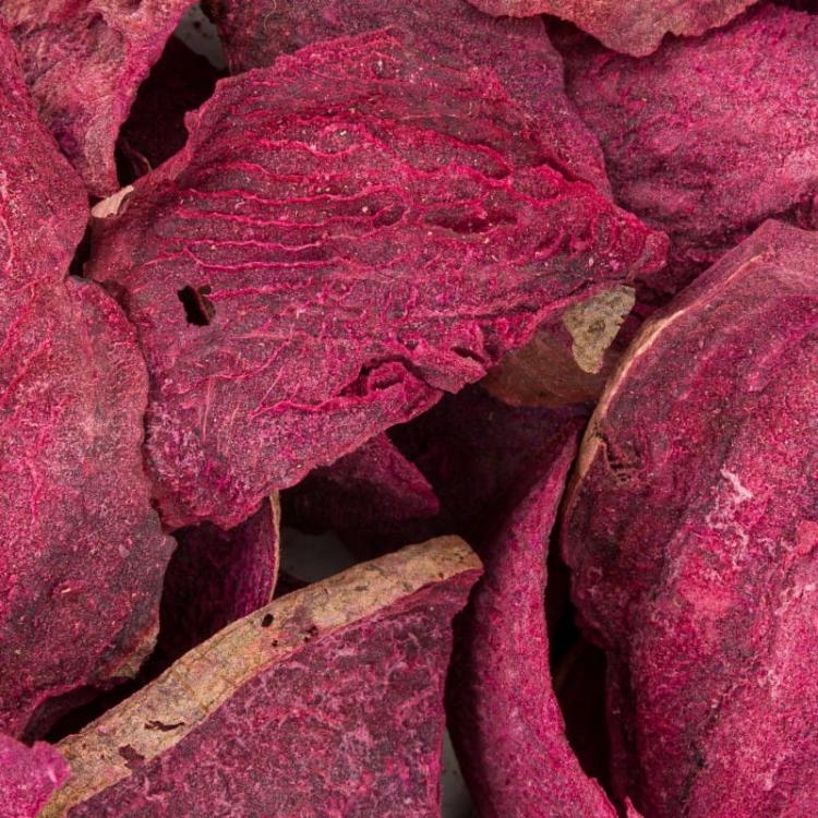 Powerki Vitapol – lyofilizovaná červená řepa 20 g – přírodní pochoutka pro hlodavce od ParrotPlanet.cz