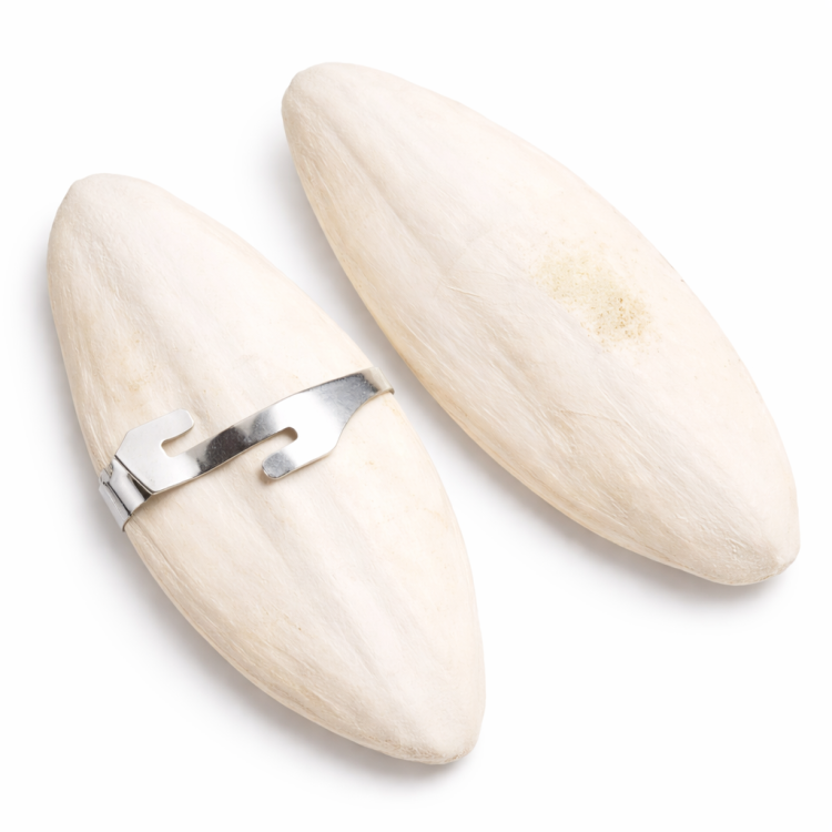 Sepia Mineral 12,5 cm 2 sztuki – Naturalne Źródło Wapnia dla Wszystkich Papug od ParrotPlanet.pl