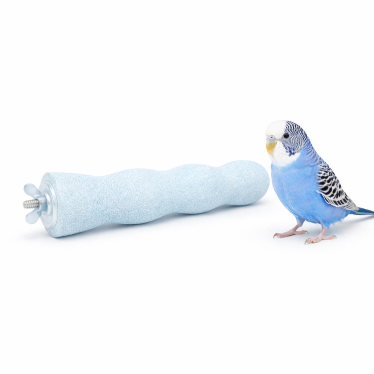 Terapeutická tyčinka „Mani Pedi” – pro malé papoušky velikosti XS od ParrotPlanet.cz