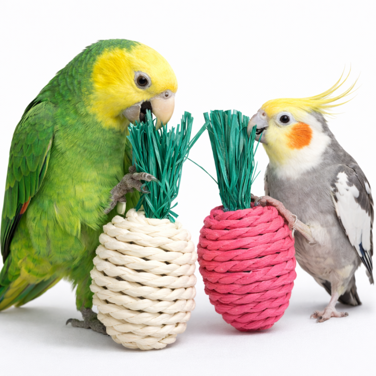 Krásné jahůdky - hračka do tlapky pro velké a střední papoušky, 2 ks od ParrotPlanet.cz