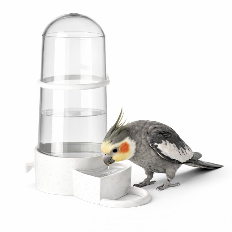 Krmítko Napáječka - Krmítko nebo napáječka | Miska pro papoušky a jiné exotické ptáky 265 ml  od ParrotPlanet.cz