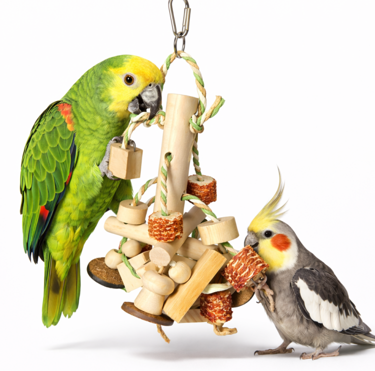 Kuličky na tyčce  – hračka pro malé a střední  papoušky od ParrotPlanet.cz