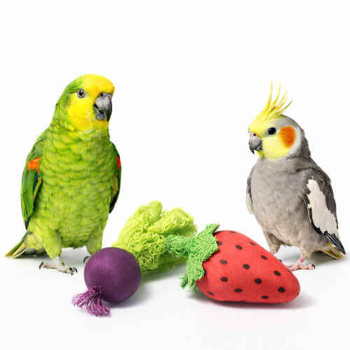 Zeleninový košík– hračky do tlapky pro papoušky 10 cm – 2 ks  od ParrotPlanet.cz